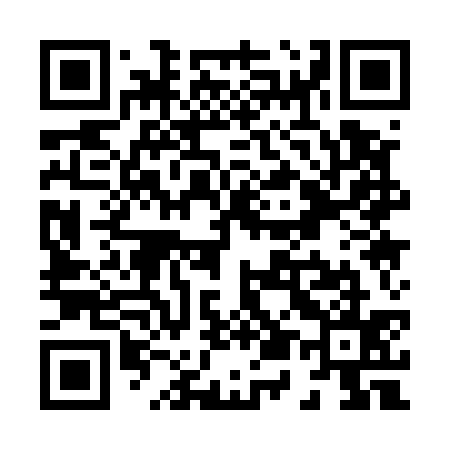 QR code for X51535