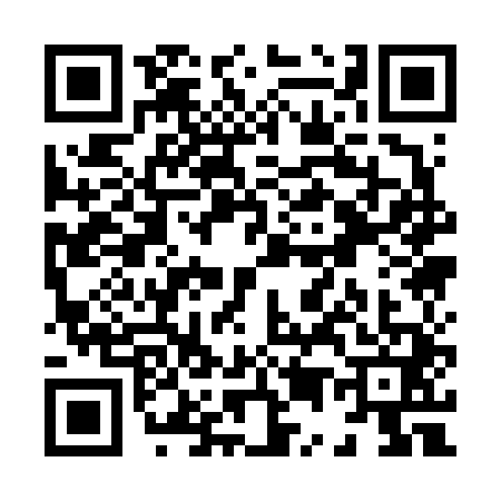 QR code for X516410