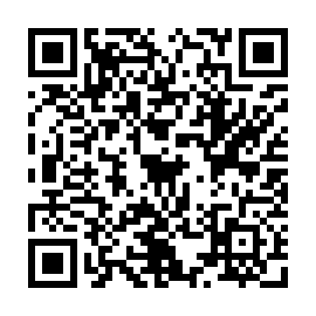 QR code for X519728