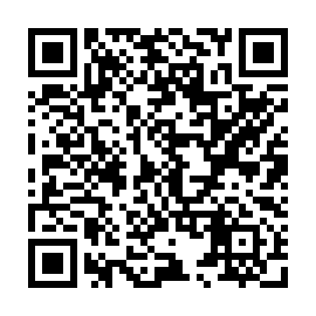 QR code for X52291