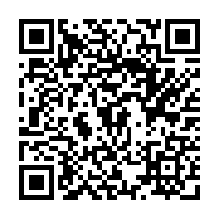QR code for X527295