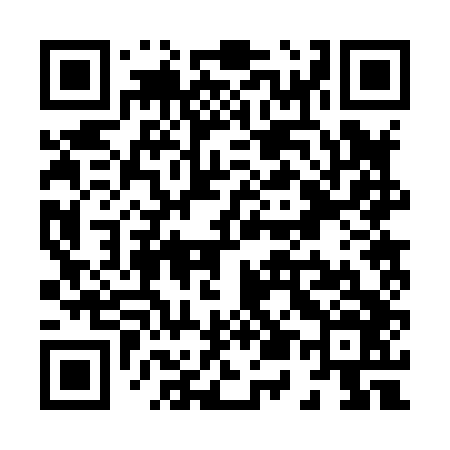 QR code for X52846