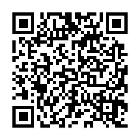 QR code for X533048