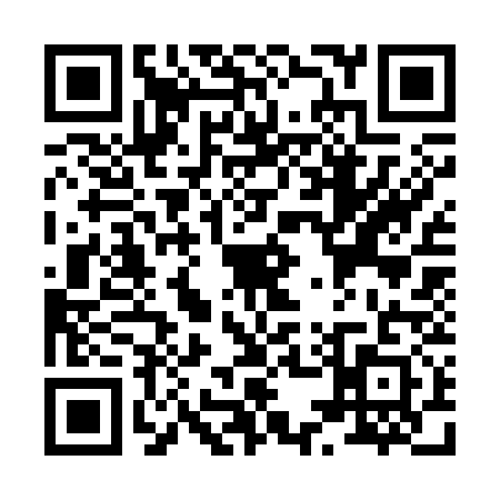 QR code for X533311