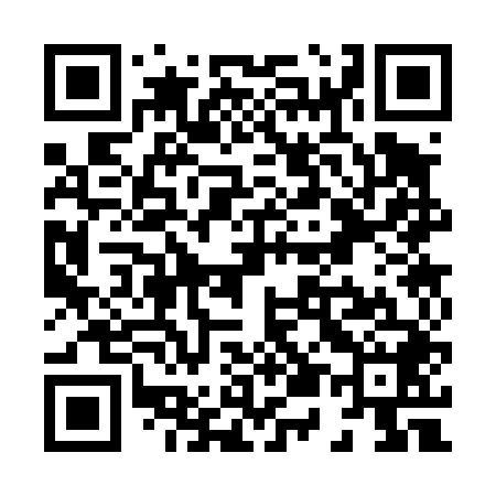 QR code for X53448