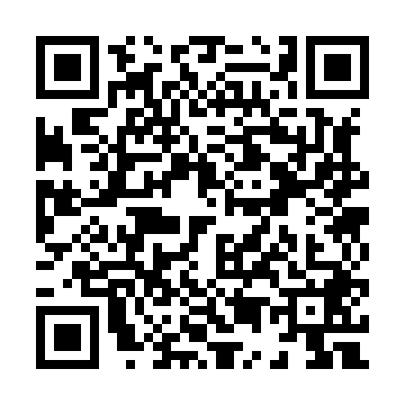 QR code for X538485