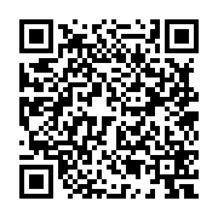 QR code for X538696
