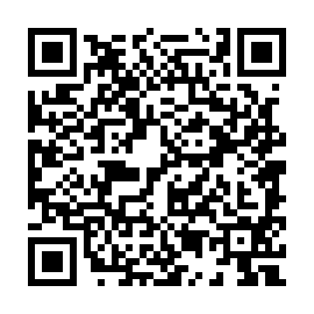 QR code for X541946