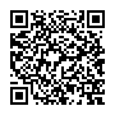 QR code for X547363