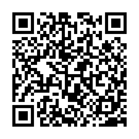 QR code for X55195