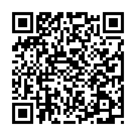 QR code for X553151