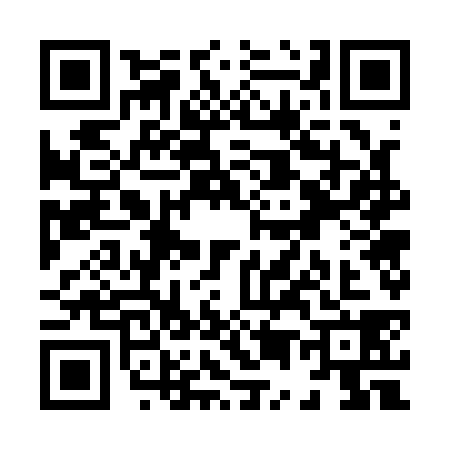 QR code for X571382