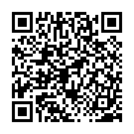 QR code for X590533