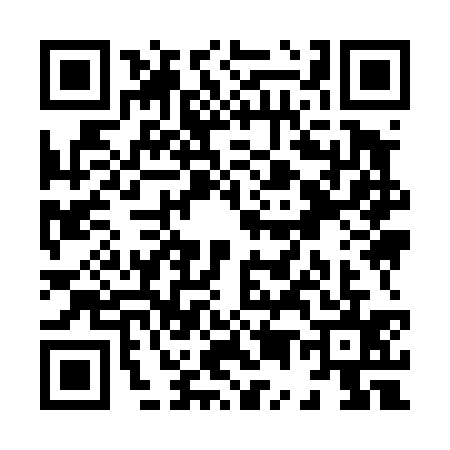QR code for X594357