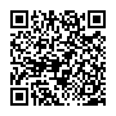 QR code for X594655