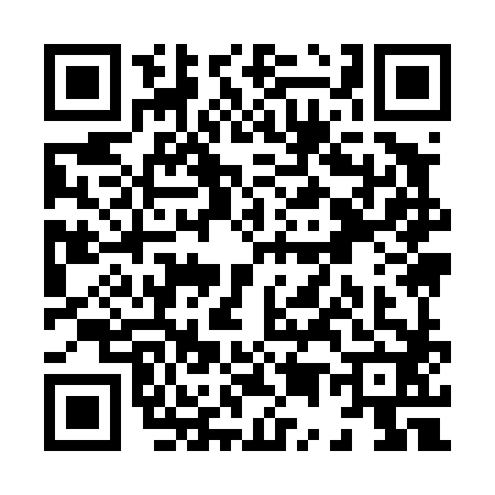 QR code for X594826