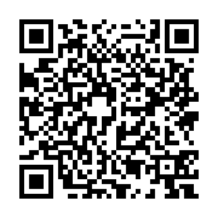 QR code for X595307