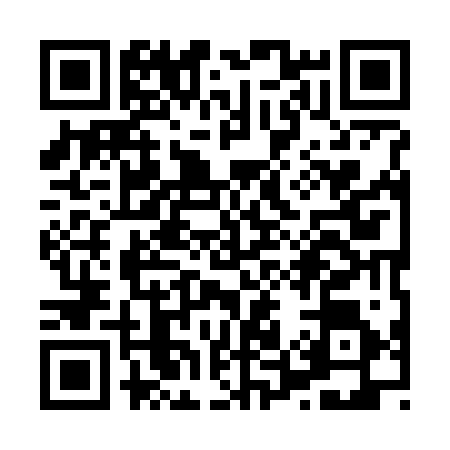 QR code for X597261