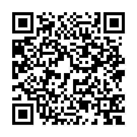 QR code for X597319