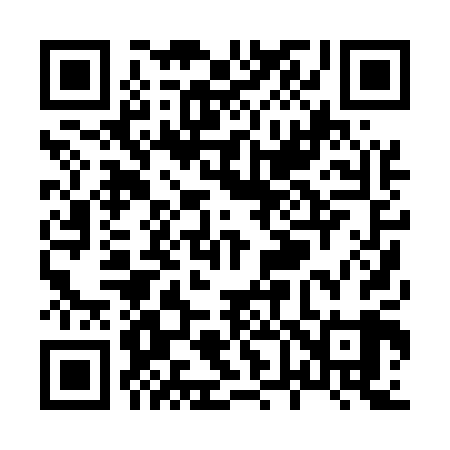 QR code for X60509