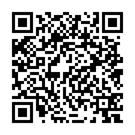 QR code for X605329