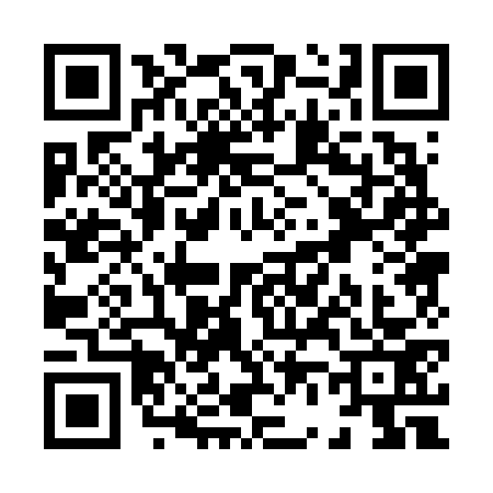 QR code for X606739