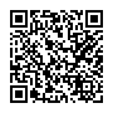 QR code for X61993