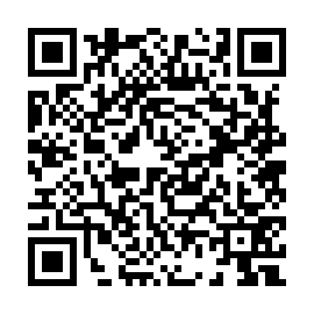 QR code for X629733