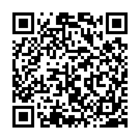 QR code for X63737