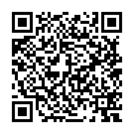 QR code for X638196
