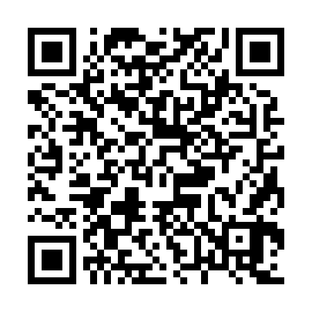 QR code for X63862