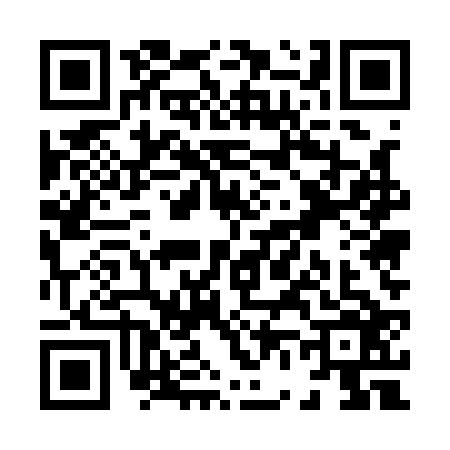 QR code for X651260