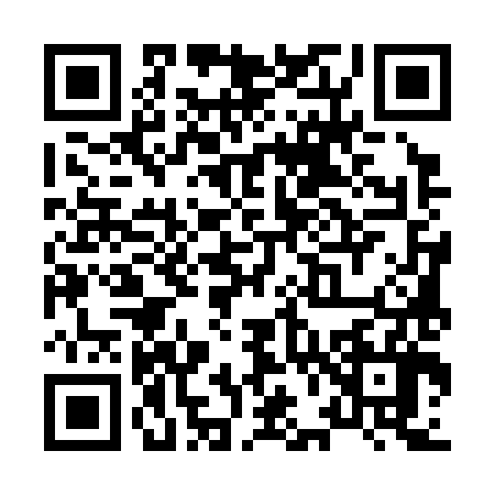 QR code for X653866