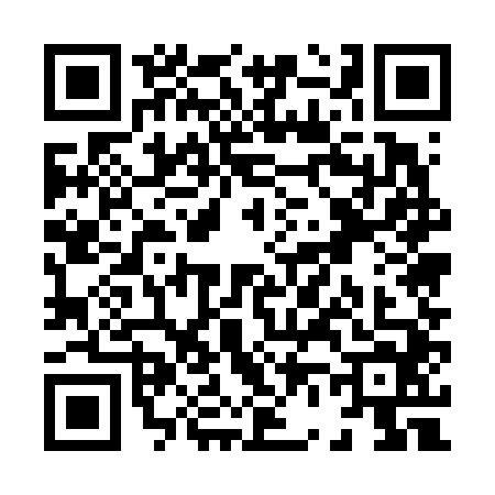 QR code for X656447