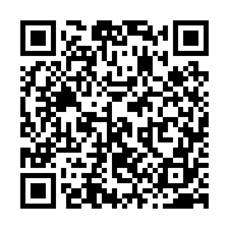 QR code for X66272