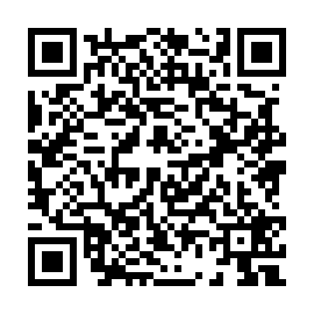 QR code for X685290