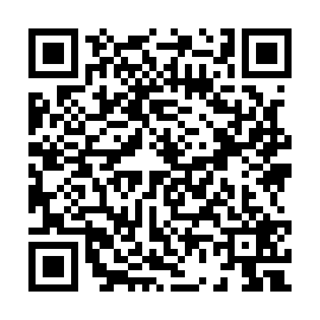 QR code for X691296