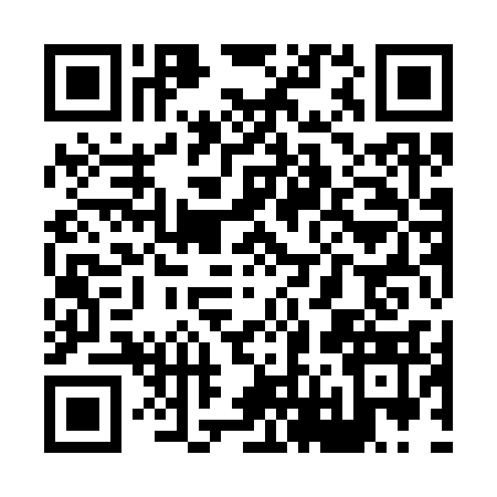 QR code for X693339