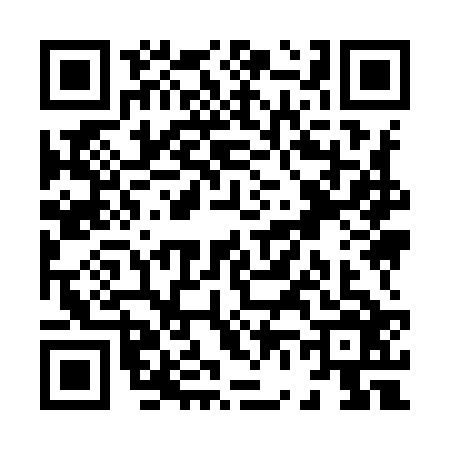 QR code for X699261