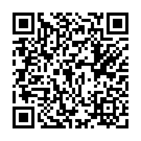 QR code for X701393