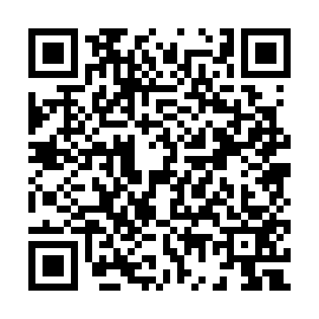 QR code for X703539