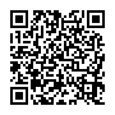 QR code for X709519