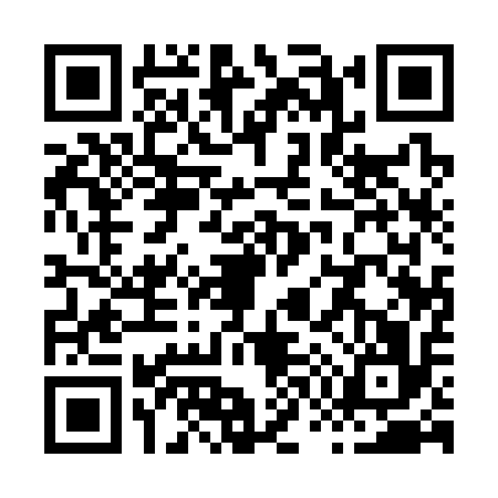 QR code for X713161