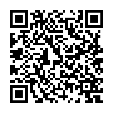 QR code for X729262