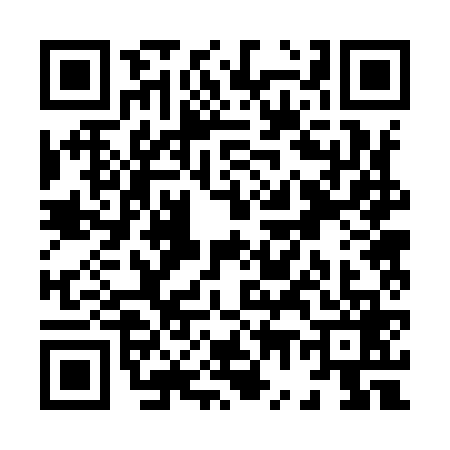 QR code for X729697