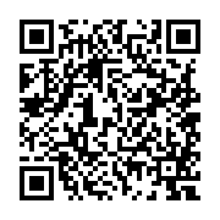 QR code for X729850