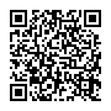 QR code for X732385