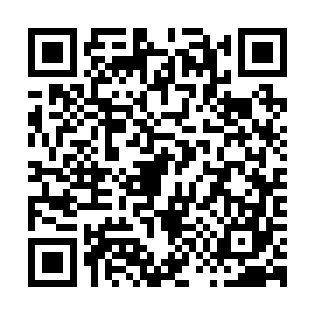 QR code for X732677