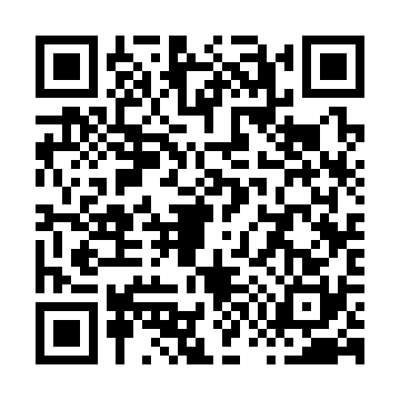 QR code for X733307