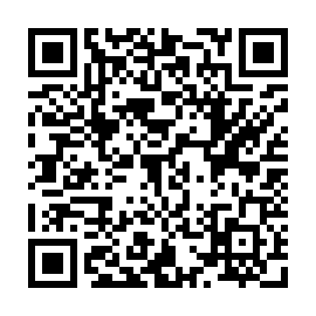 QR code for X739201